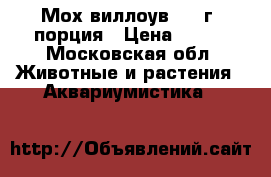 Мох виллоув 100 г, порция › Цена ­ 200 - Московская обл. Животные и растения » Аквариумистика   